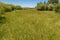 A sprawling meadow near Lake Tahoe