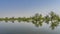 Sprawling trees and green grass grow on the shore of a calm lake.