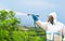 Spray ecological pesticide. Farmer fumigate in protective suit and mask lemon trees. Man spraying toxic pesticides, pesticide,