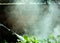 Spray Head is Spraying White Smoke to Repel Mosquito
