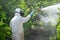 Spray pesticides, pesticide on fruit lemon in growing agricultural plantation, spain. Man spraying or fumigating pesti, pest