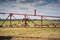 A sprayer bar against the background of a young corn field grown on sand under the scorching sun