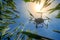 A sprayer drone flies over a wheatfield sprays fertilizers