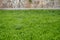 Sprayer pours water on a bright lawn in summer