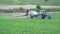 Spraying agricultural plants with fertilizers or chemicals on industrial plantings.