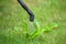 Spraying pesticide, lawn weed control