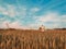 Spraying Skies A Farmer\'s Dedication to Fields and the Vast Horizon.