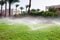 Spraying water on the lawn