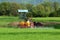 Spraying wheat field