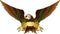 Spread winged eagle insignia