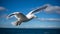 Spread wings of seagull gliding mid air over tranquil coastline generated by AI