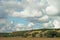 A spreading trees in a sunny picturesque autumn hilly valley, against a background of a clear blue sky with sparse clouds.