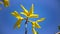 A sprig of blooming forsythia against a blue sky in the garden