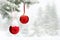 Sprig of christmas tree spruce Picea pungens with of hanging balls covered hoarfrost and in snow in of winter fir forest