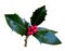 Sprig of holly