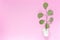 Sprig with leaves in a white bucket on a plain pink background with an area for text copyspace, topview, mockup, flatlay