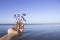 A sprig of lilac limonium lies on a sandy plan against the background of a calm sea and blue sky. Summer flower in a female hand