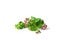 A sprig of oregano with flowers and leaves on a white background. Fragrant and useful medicinal plant close-up.