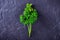 A sprig of parsley
