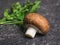 A sprig of parsley and Royal champagne on a stone background. Vegetarian food.