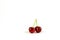 Sprig of ripe cherry on the white background, isolated