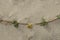 A sprig of a sandy plant rooting in the sand with drops of night dew close-up