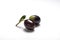 Sprig with Two olives on a white background
