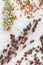 Sprigs and grains of red and yellow millet. White background