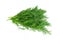 Sprigs of green fragrant fresh dill on white background isolated. Greens for health. Aromatherapy