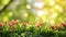 spring advertisment natural nackground with flowers, bokeh lights and copy space