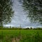 Spring afternoon light on Salisbury Cathedral from across Harnham Water Meadows, Wiltshire, UK