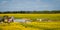 spring agricultural landscape. blooming rapeseed field with construction debris and old discarded agricultural machinery under a