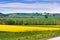 spring agriculture - yellow field near Sobotka, Bohemian Paradise landscape, Czech republic