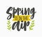 Spring Is In The Air inspiring phrase written with artistic cursive font or script and decorated with green leaves or