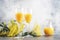 Spring alcohol cocktail mimosa with orange juice and cold dry champagne or sparkling wine in glasses, gray bar counter background