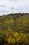 Spring Algarve landscape flora