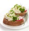 Spring appetizer with cream cheese, radish