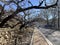 In spring, apricot blossoms bloom in the wild mountains