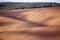 Spring arable land. Spring wavy agriculture scene. Rural landscape