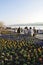 Spring arrived, the flowers are growing and ZÃ¼richs lake promeade is full of people enjoying the sunshine