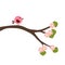Spring baby illustration bird on a branch of a flowering tree.