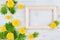 Spring background of blank wood frame, yellow dandelion flowers, young green leaves on light blue wooden board.