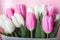 Spring background card Pink and white tulips in pastel pink background close-up. Fresh flowers for horizontal flower poster, wallp