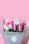 Spring background card Pink and white tulips in pastel pink background close-up. Fresh flowers for horizontal flower poster, wallp