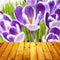 Spring background crocuses wooden parquet