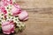 Spring background with pink roses and arabian star flower (ornithogalum arabicum)