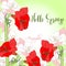 Spring background with red pink amaryllis.