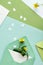 Spring background in shades of green. Paper envelope with card and yellow erranthis flowers, hearts on off white table.