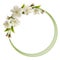 Spring background with white cherry flowers