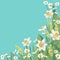 Spring banner with daffodils and daisies. Flowers background for design.